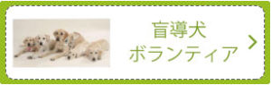 盲導犬ボランティア