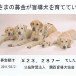 2011m-ryo-2010